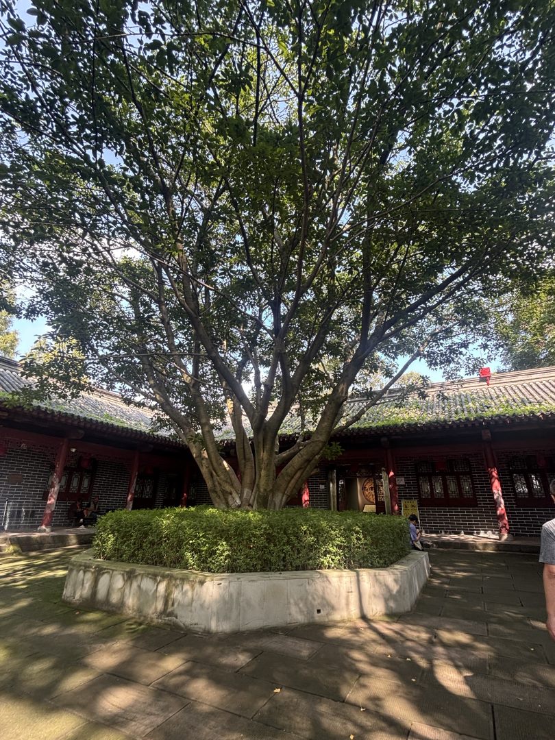 明蜀王陵园区庭院